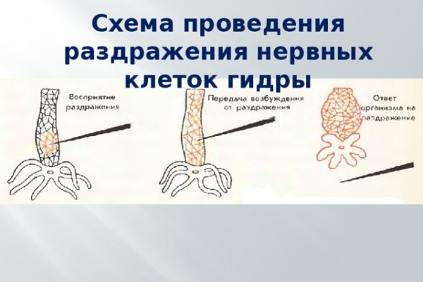 Kraken адрес onion