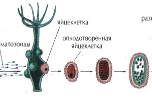 Главная страница кракен