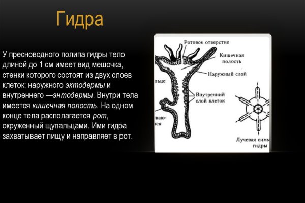 Кракен сайт в тор браузере