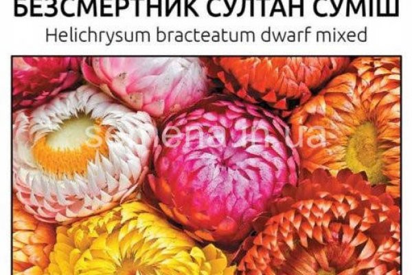 Ссылка на кракен шоп