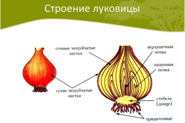 Адрес кракен в тор